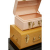 Avalon Set Of Three Assorted Storage Trunks
