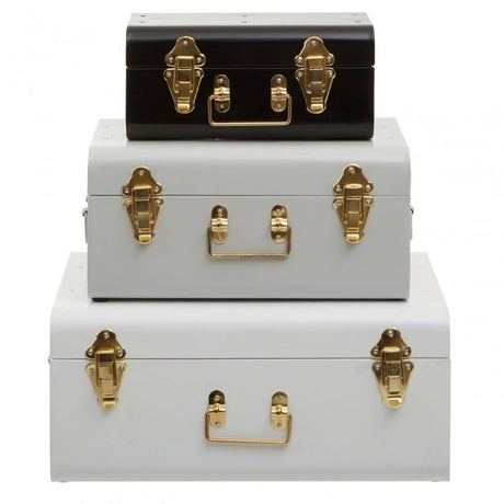 Avalon Set Of Three Monochrome Storage Trunks