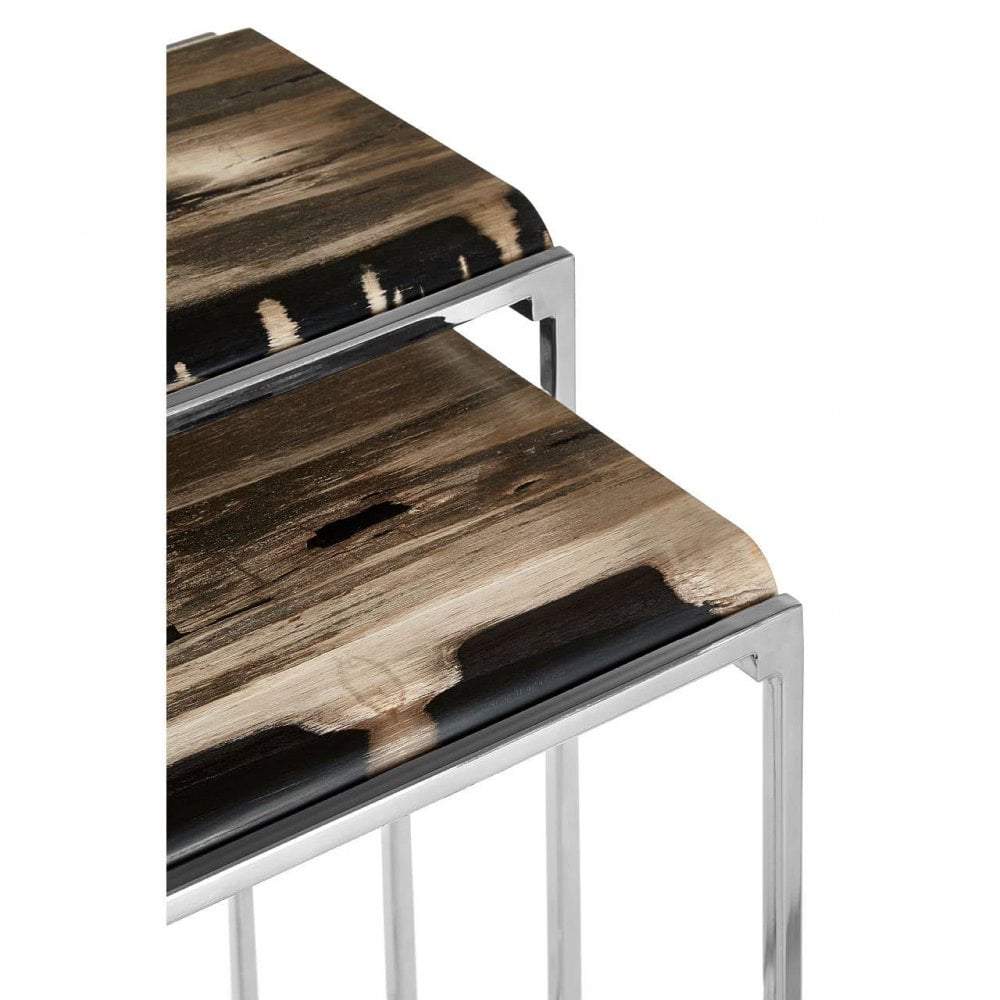 Sterling Nest Of 2 Petrified Wood Side Tables