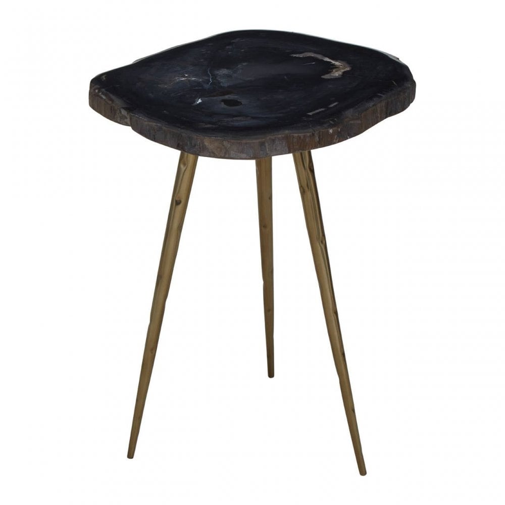 Sterling Side Table With Petrified Wood Top