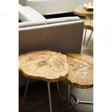 Sterling Small Petrified Wood Side Table