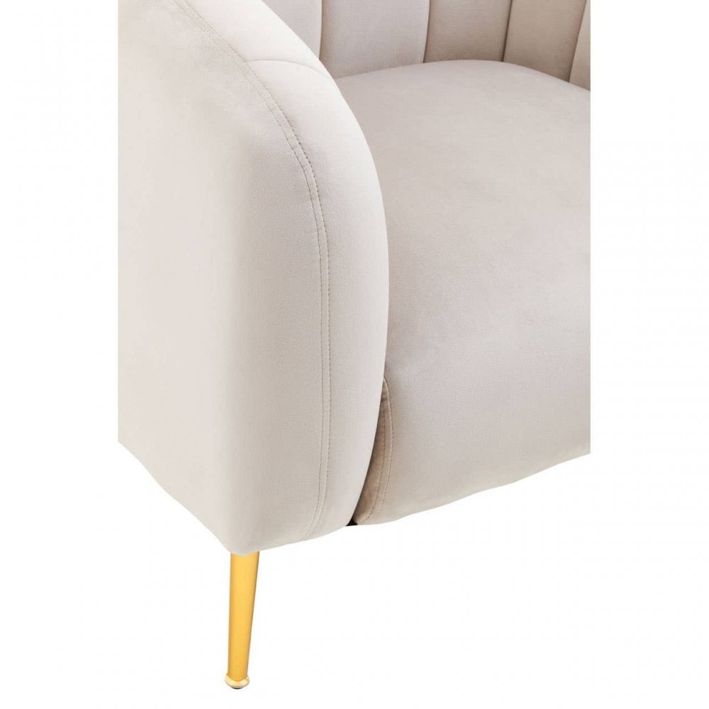 Charlotte Silver Grey Velvet Armchair