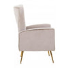 Elara Velvet Accent Chair With Gold Finish Legs
