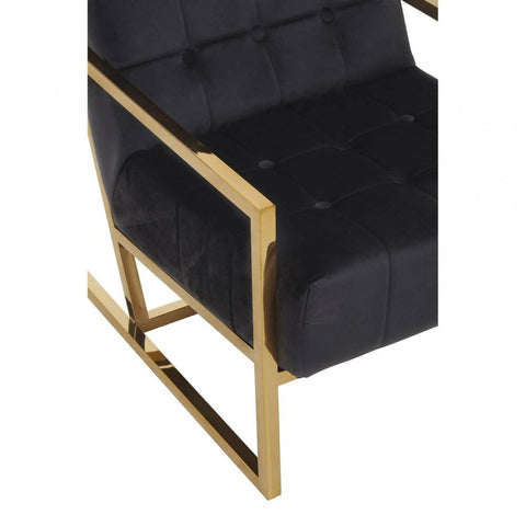 Lila Velvet Chair With Gold Frame