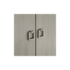 Carter 2 Door Chest