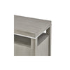Carter 2 Door Chest