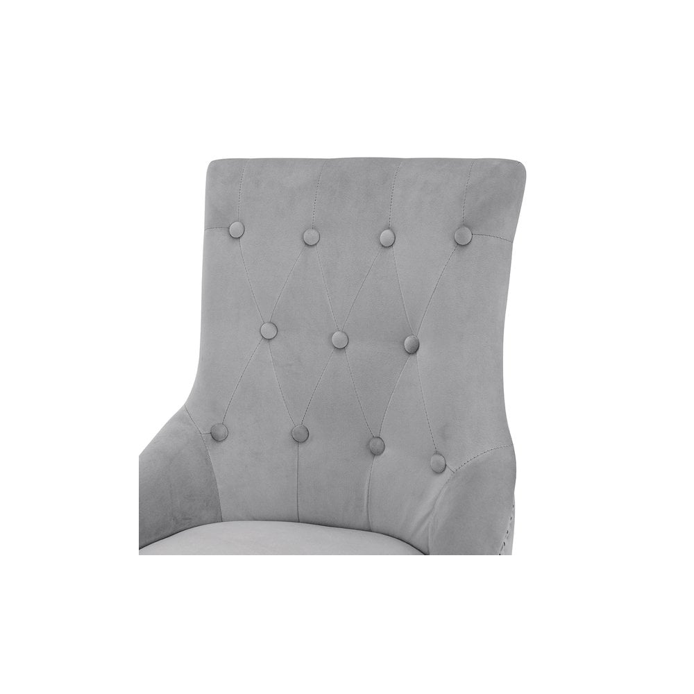 Lion Dining Chair Silver