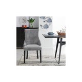 Lion Dining Chair Silver