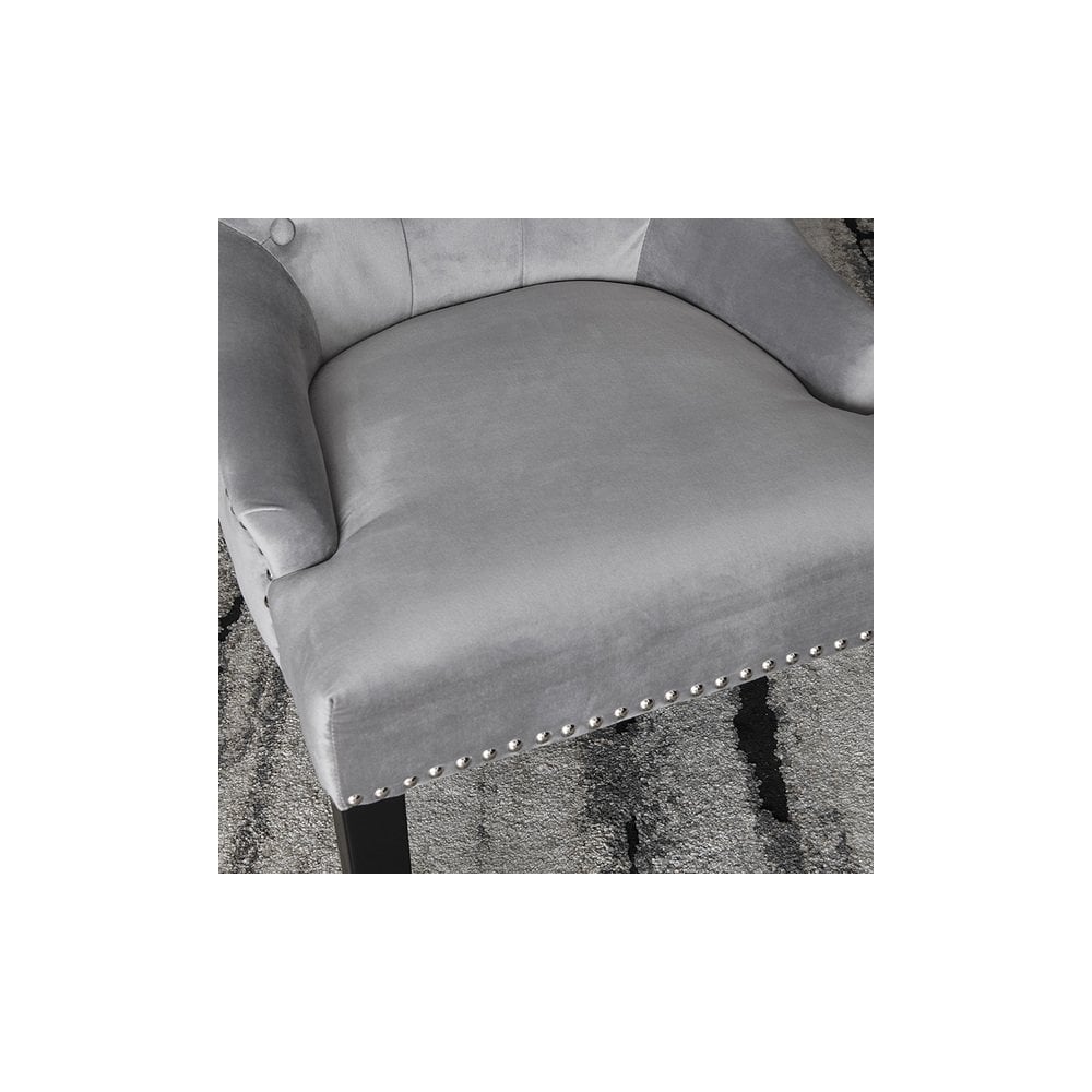 Lion Dining Chair Silver