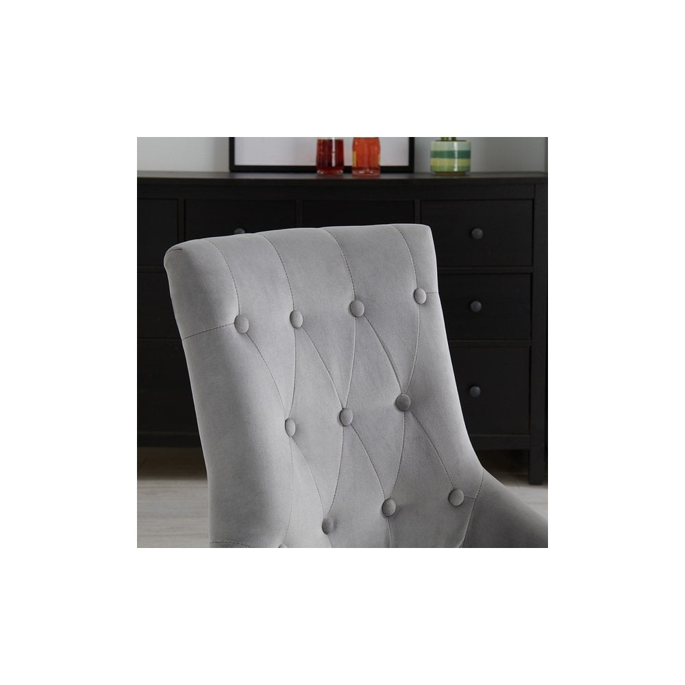 Lion Dining Chair Silver