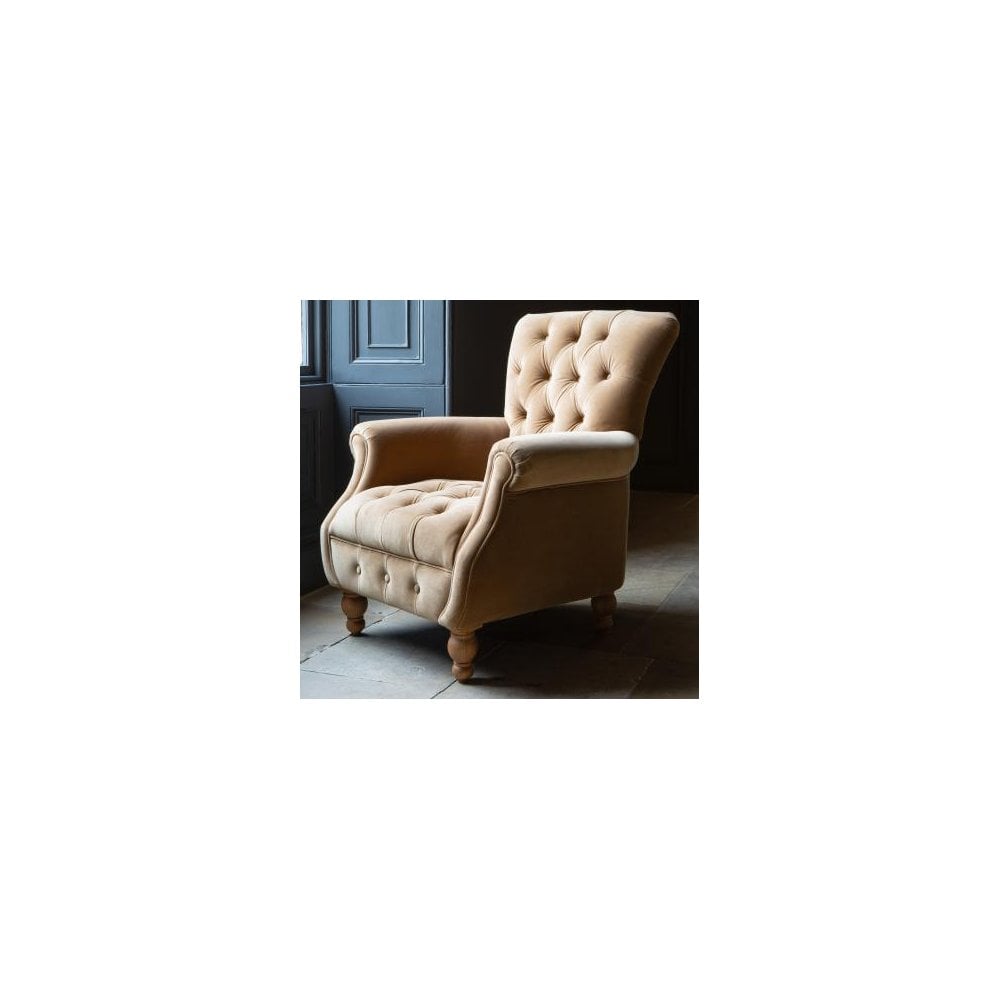 Westminster Armchair in Butterscotch Velvet Grade 1