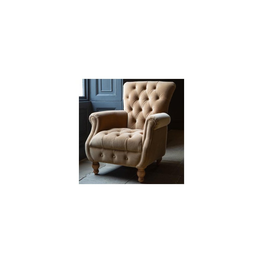 Westminster Armchair in Butterscotch Velvet Grade 1