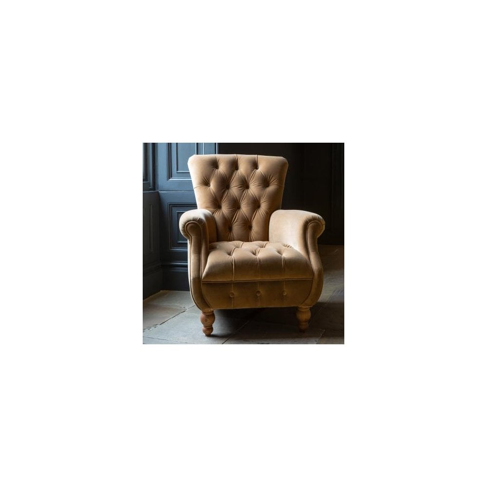 Westminster Armchair in Butterscotch Velvet Grade 1