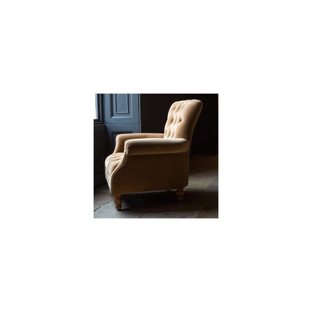 Westminster Armchair in Butterscotch Velvet Grade 1