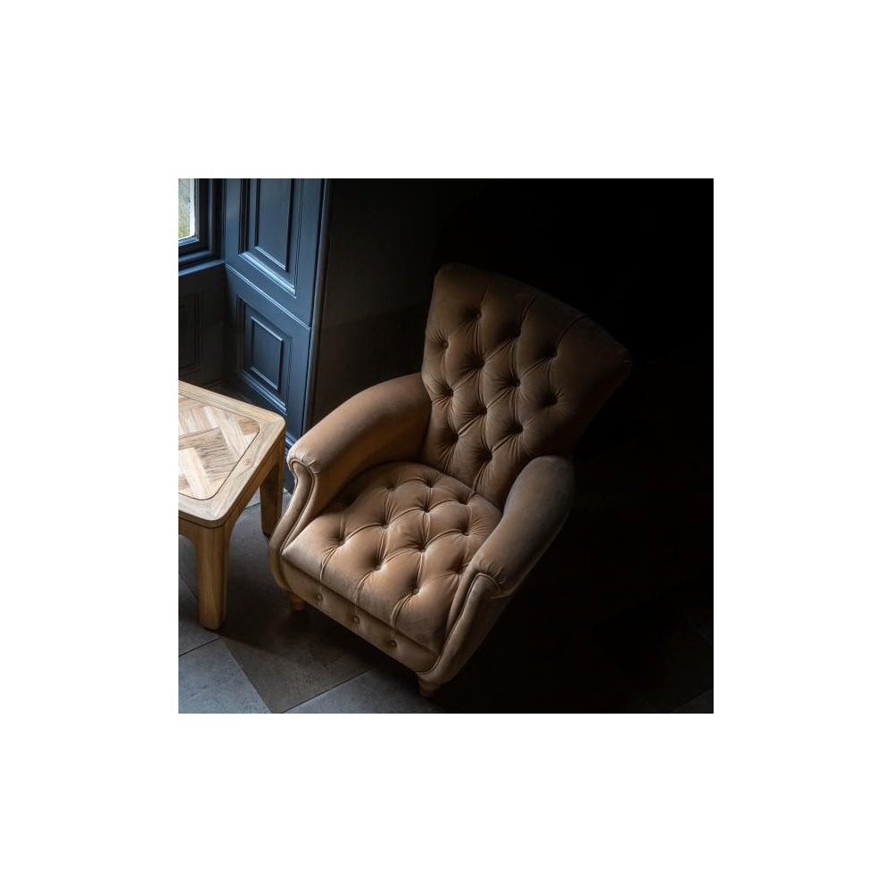 Westminster Armchair in Butterscotch Velvet Grade 1