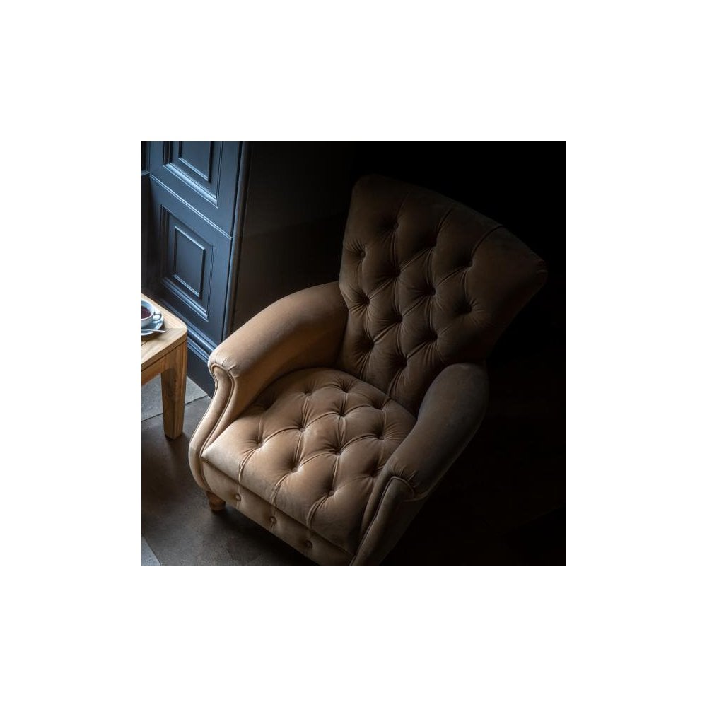 Westminster Armchair in Butterscotch Velvet Grade 1