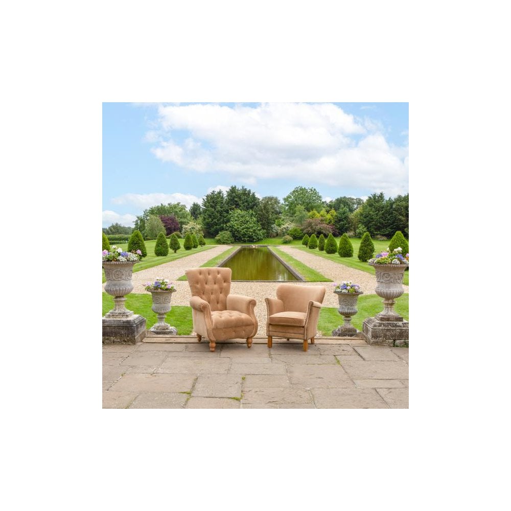 Westminster Armchair in Butterscotch Velvet Grade 1