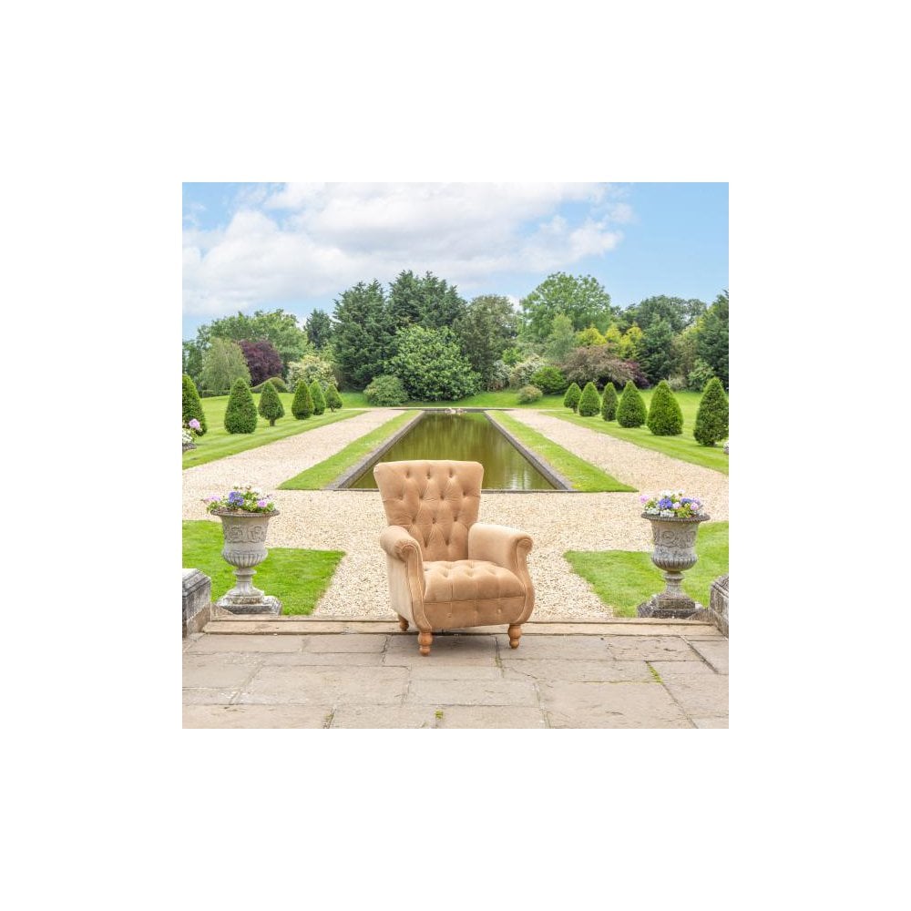 Westminster Armchair in Butterscotch Velvet Grade 1