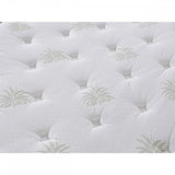 G02 Aloe Vera Mattress 4FT