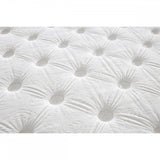 G06 Plush Velvet