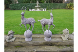 Pair of decorative deer garden statues on stone orbs with lawn and fountain backdrop