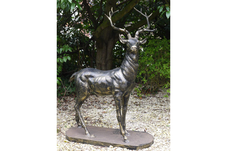 Stag (Looking Left) - 2201