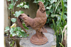 Cockerel (Sm/Rusty) - 2389