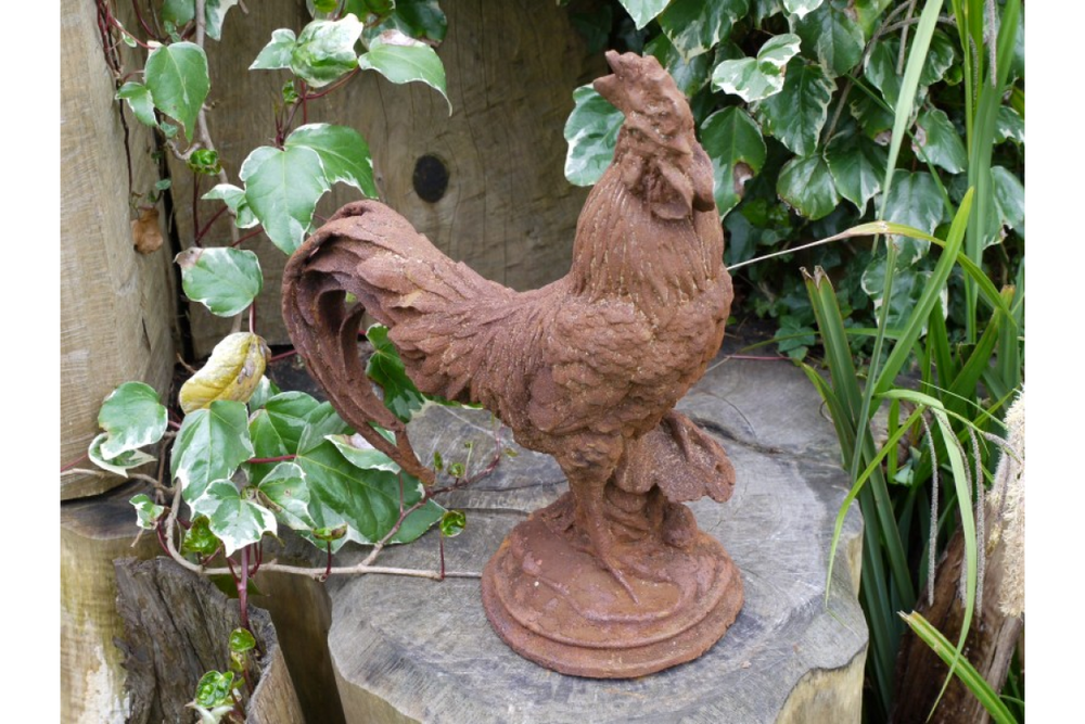 Cockerel (Sm/Rusty) - 2389