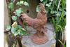 Cockerel (Sm/Rusty) - 2389