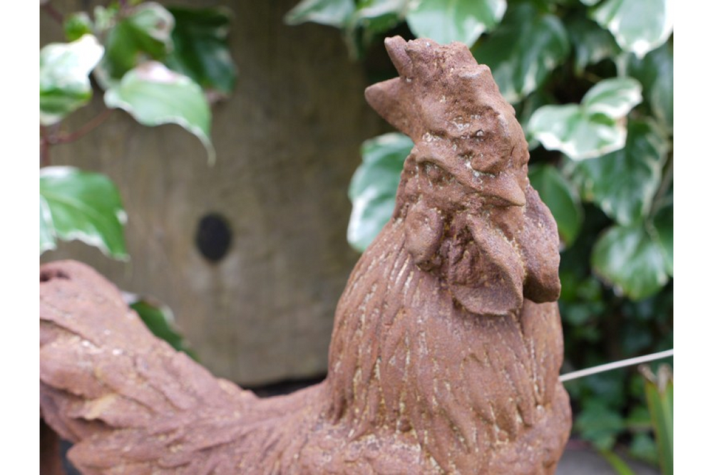 Cockerel (Sm/Rusty) - 2389