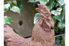 Cockerel (Sm/Rusty) - 2389