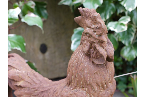 Cockerel (Sm/Rusty) - 2389