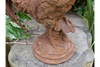 Cockerel (Sm/Rusty) - 2389