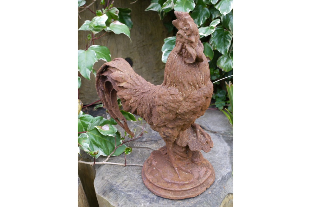 Cockerel (Sm/Rusty) - 2389