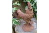 Cockerel (Sm/Rusty) - 2389
