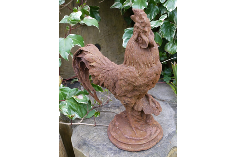 Cockerel (Sm/Rusty) - 2389