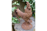 Cockerel (Sm/Rusty) - 2389
