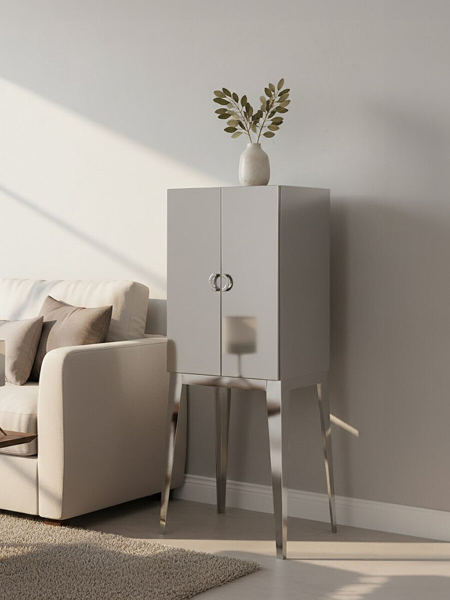 Lure Stainless Steel 2 Door Cabinet featuring a sleek white finish, two doors with minimalist handles, and elegant stainless steel legs, positioned next to a light-colored sofa with decorative pillows, and topped with a vase holding a plant, all set against a softly lit wall