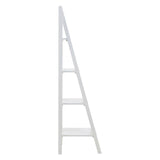 Rustic Wooden Ladder Shelf