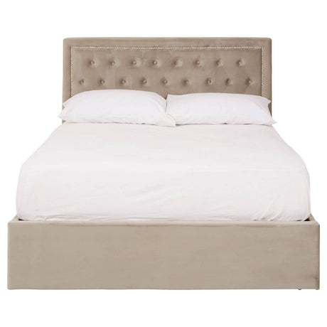 Mink velvet double bed with a tufted headboard, featuring a clean, modern design and a spacious storage ottoman base. The bed is dressed with a white mattress and pillows, creating a cozy and inviting appearance