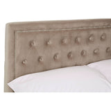 Mink velvet upholstered headboard with tufted detailing and round buttons, featuring a soft, neutral color that complements various bedroom styles