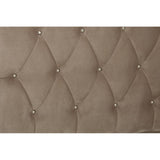 Mink brushed velvet headboard featuring a diamond tufted design with decorative buttons, showcasing a soft and luxurious texture