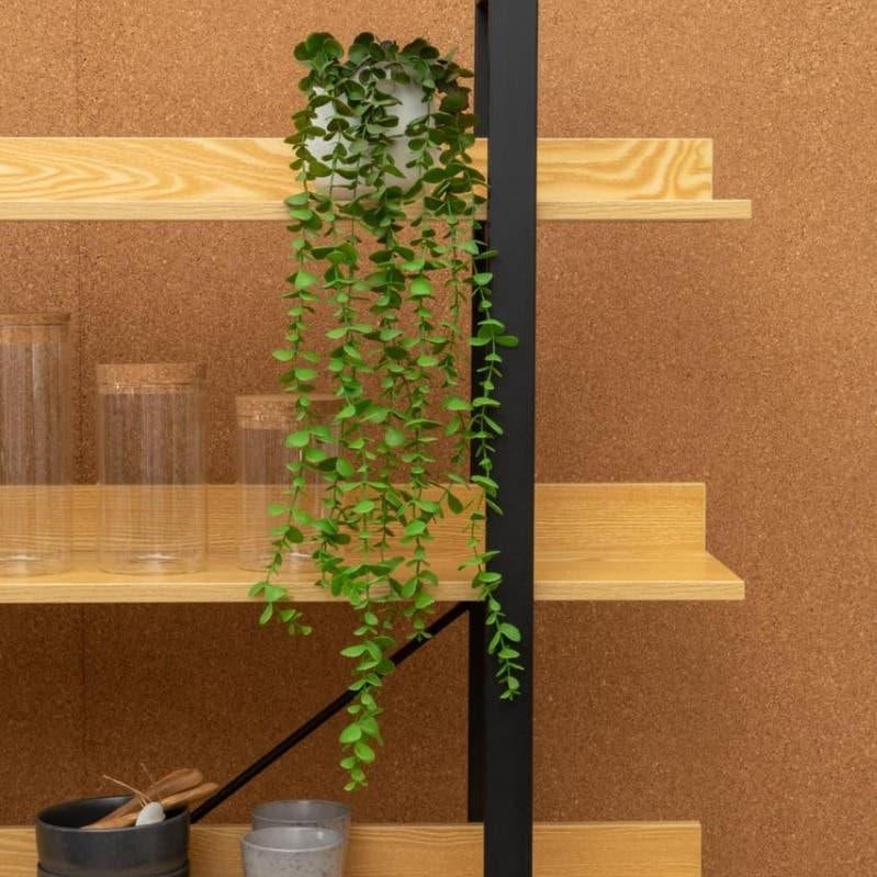 Wooden shelving unit with black frame, glass jars, ceramic cups, and trailing plant decor