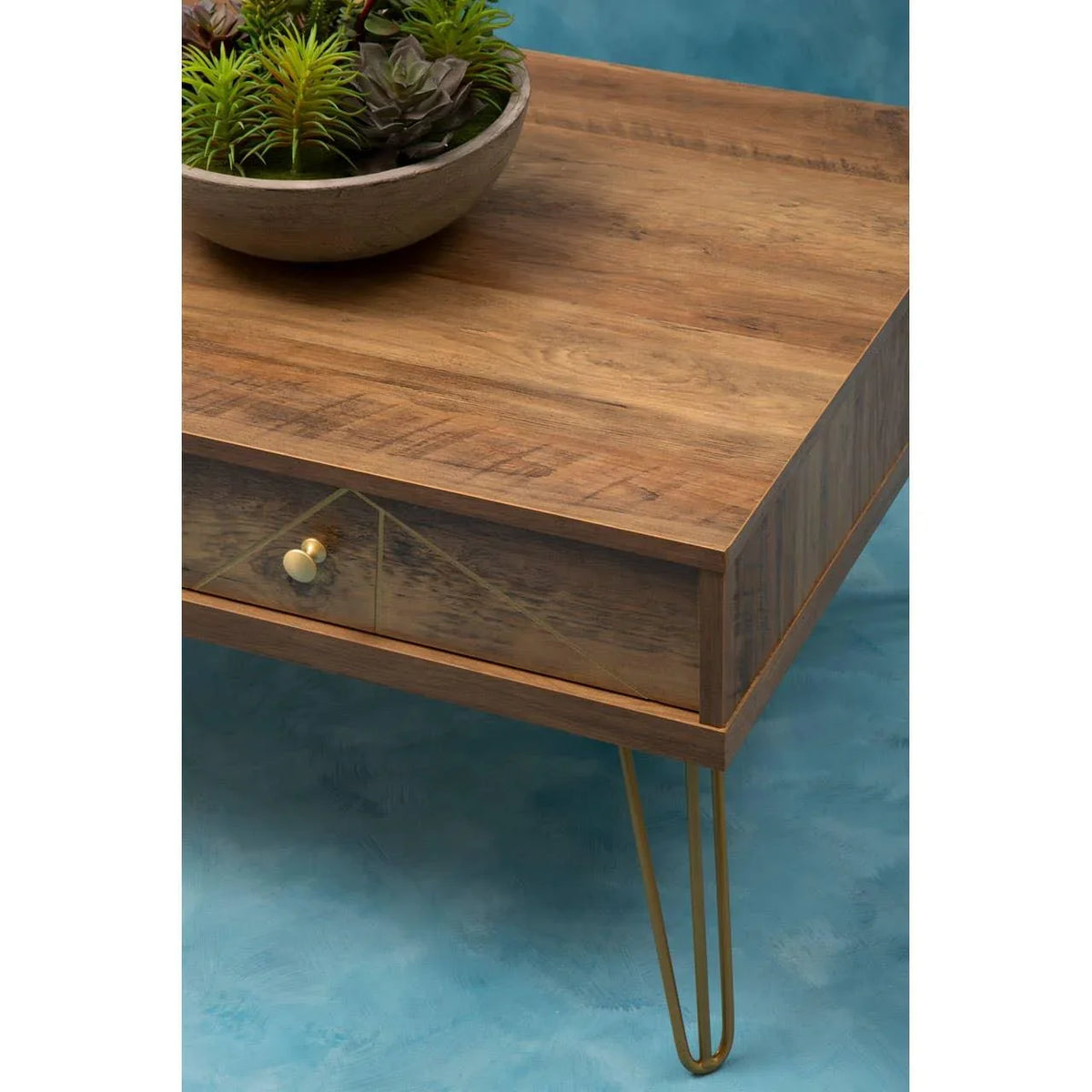 Wooden coffee table with gold metal legs and single drawer, succulent bowl on top