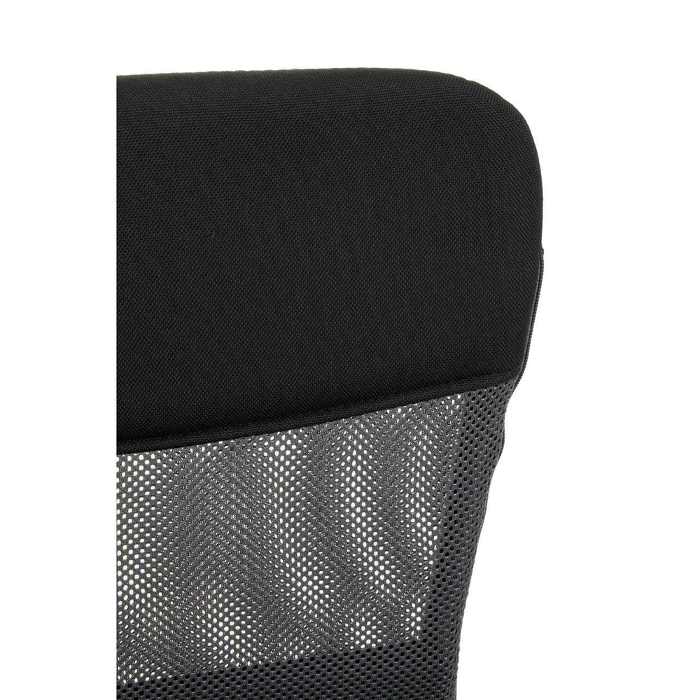 ErgoMesh Office Chair