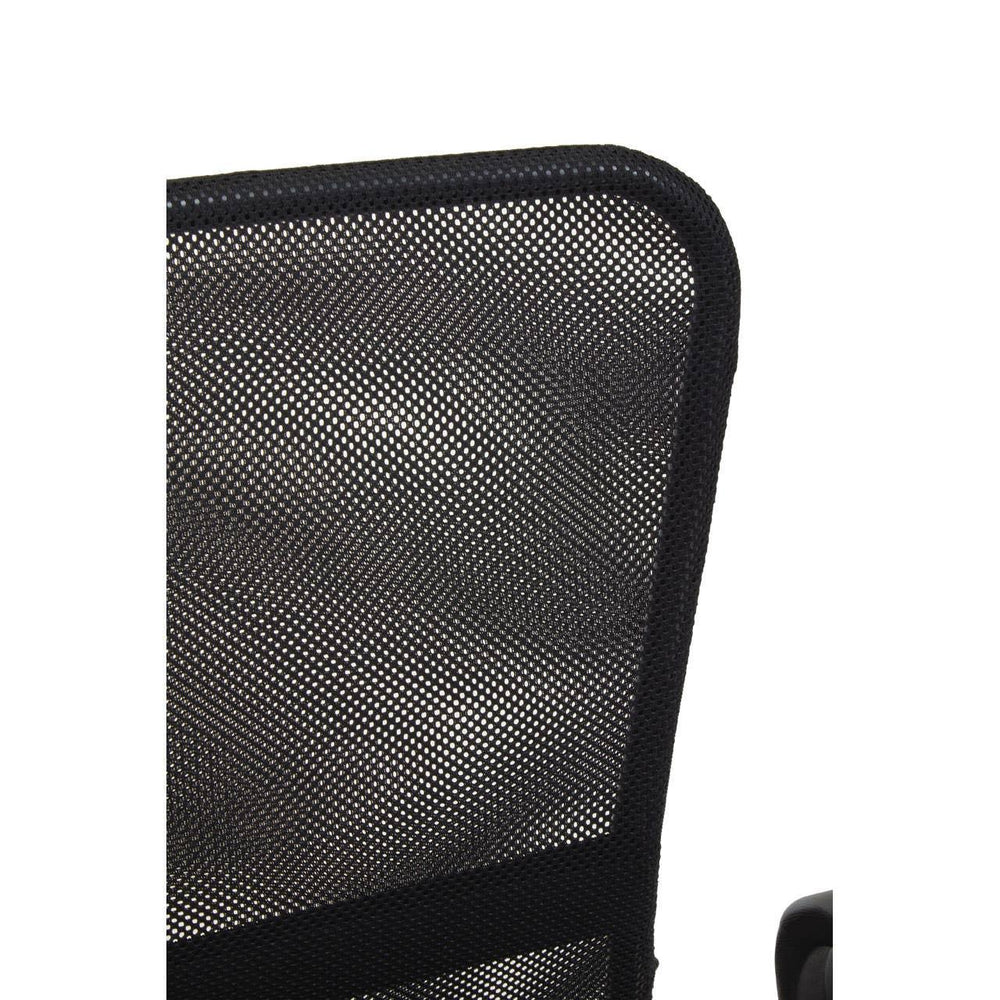 Ergo Mesh Office Chair