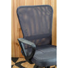 ErgoMesh Office Chair