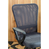 ErgoMesh Office Chair