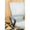 Ergo Mesh Office Chair