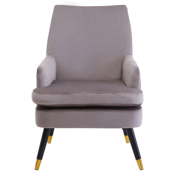 Luxe Mink Velvet Accent Chair